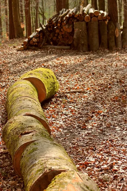 cutting Resysta wood