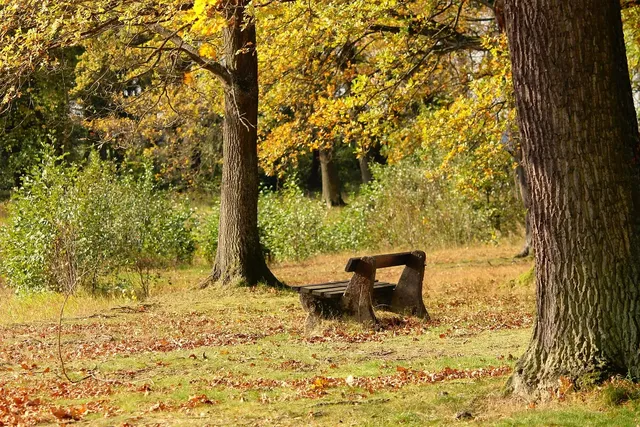 Apricity outdoor furniture